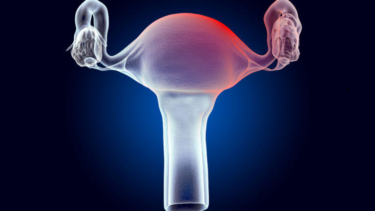 The Phases of Your Menstrual Cycle: A Complete Guide for Women