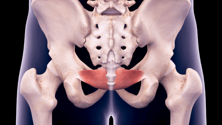 Pelvic Floor Dysfunction in Female Athletes: How to Know if YOU FIT THE BILL